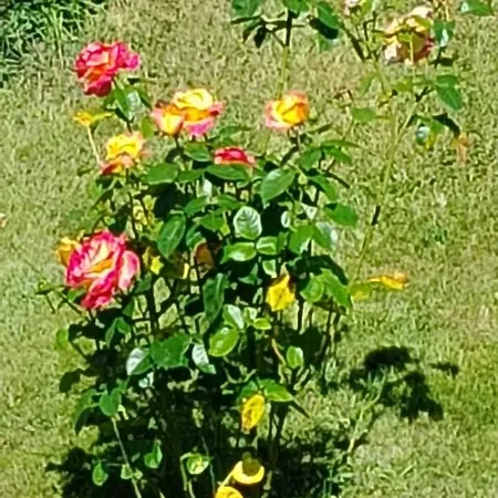 Panzió Seigneurie De Baulne-en-Brie