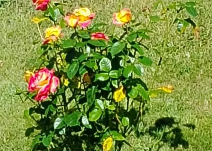 Oda ve Kahvaltı Seigneurie De Baulne-en-Brie